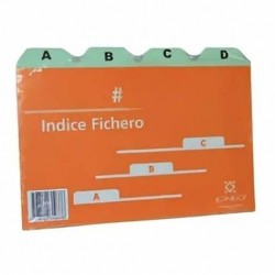 INDICE FICH LP CART Nº3...